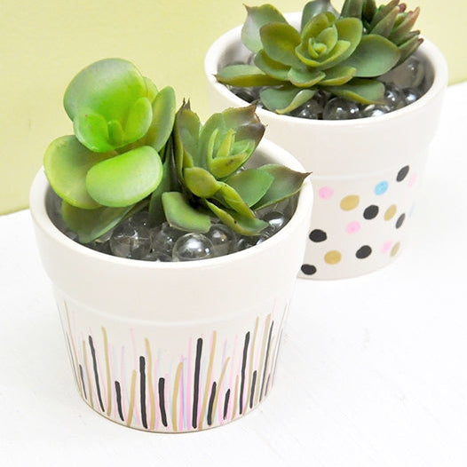Pot It Like It's Hot! : Pot Painting & Succulent Planting Date TBD
