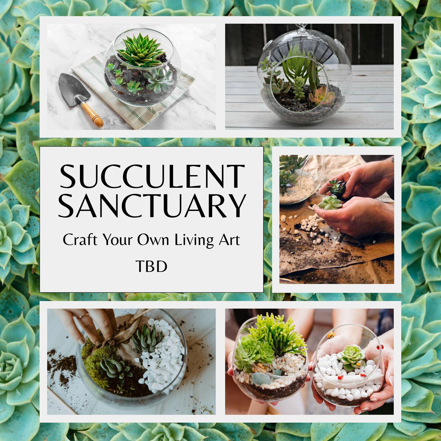 Succulent Sanctuary: Craft Your Own Living Art Date TBD