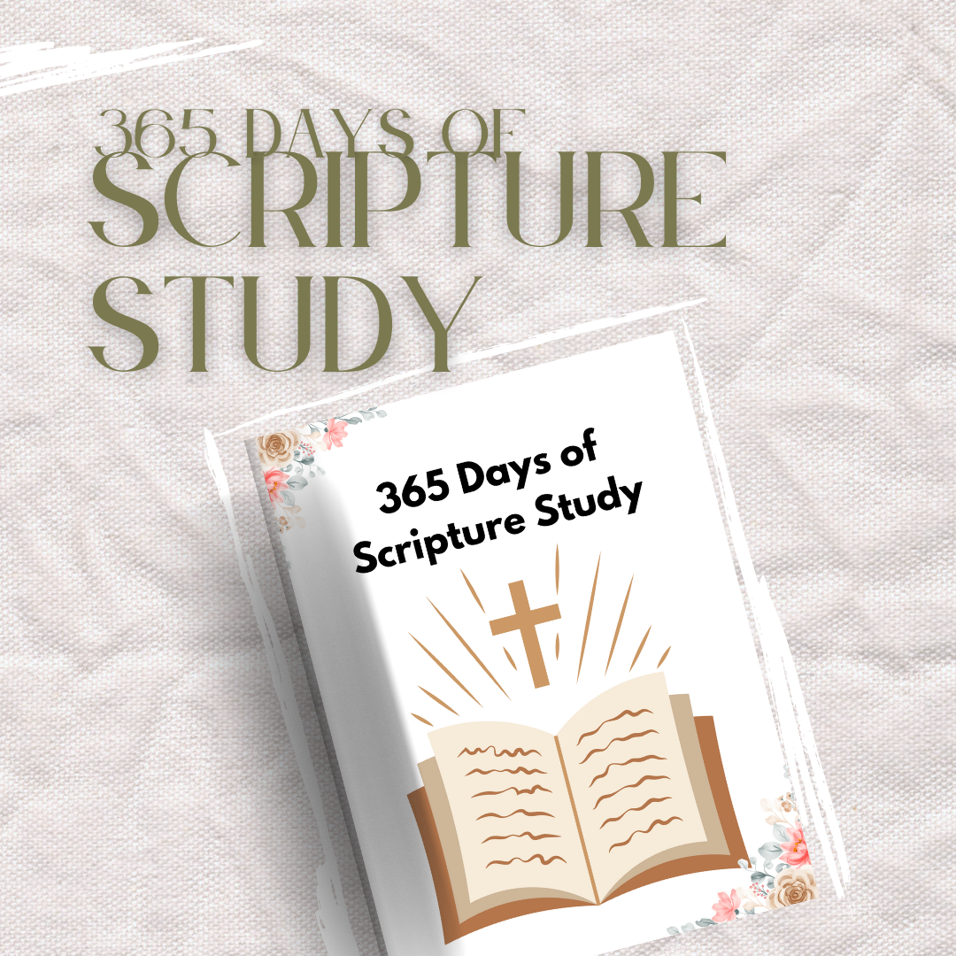 365 Days of Scripture Study