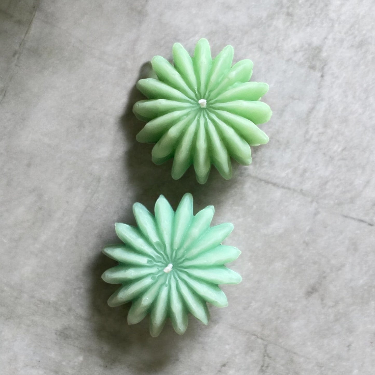 Golden Barrel Cactus Candle