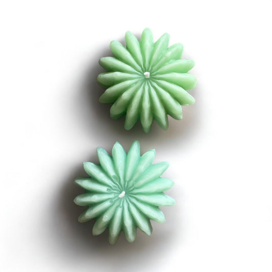 Golden Barrel Cactus Candle