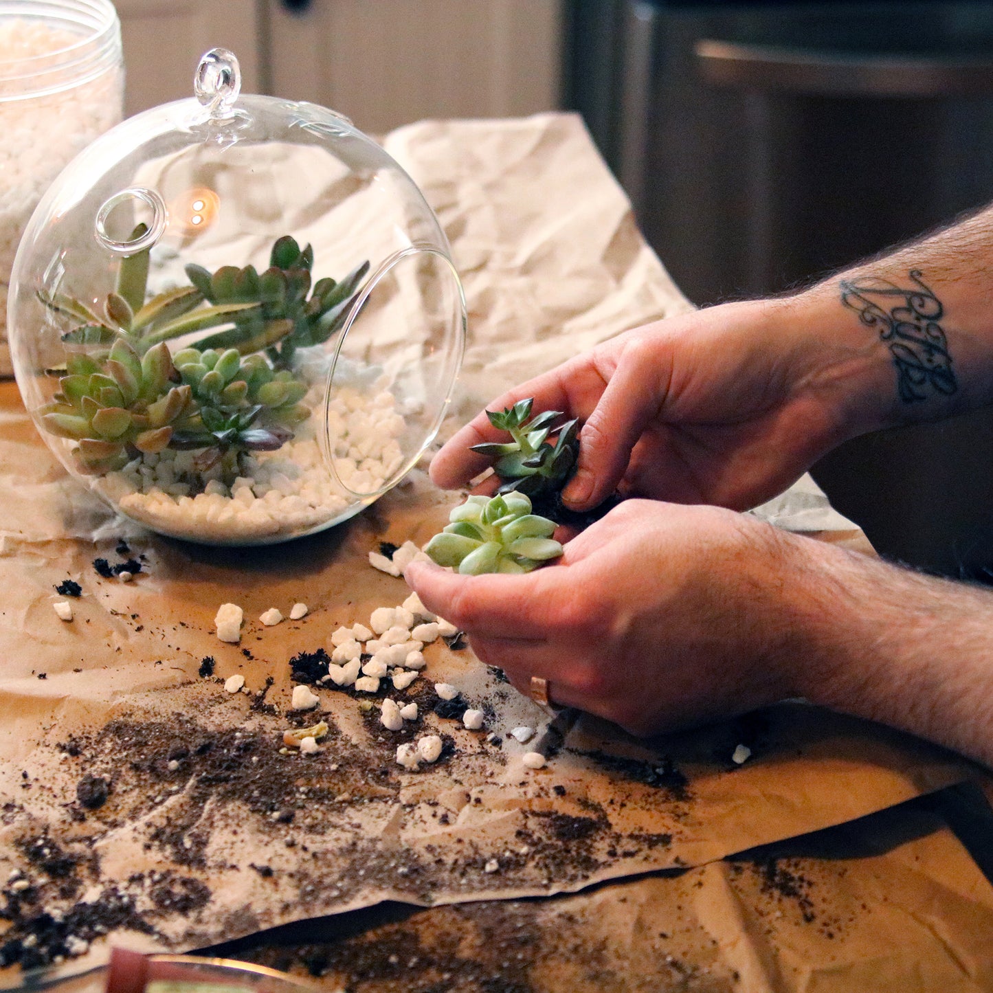 Succulent Sanctuary: Craft Your Own Living Art Date TBD