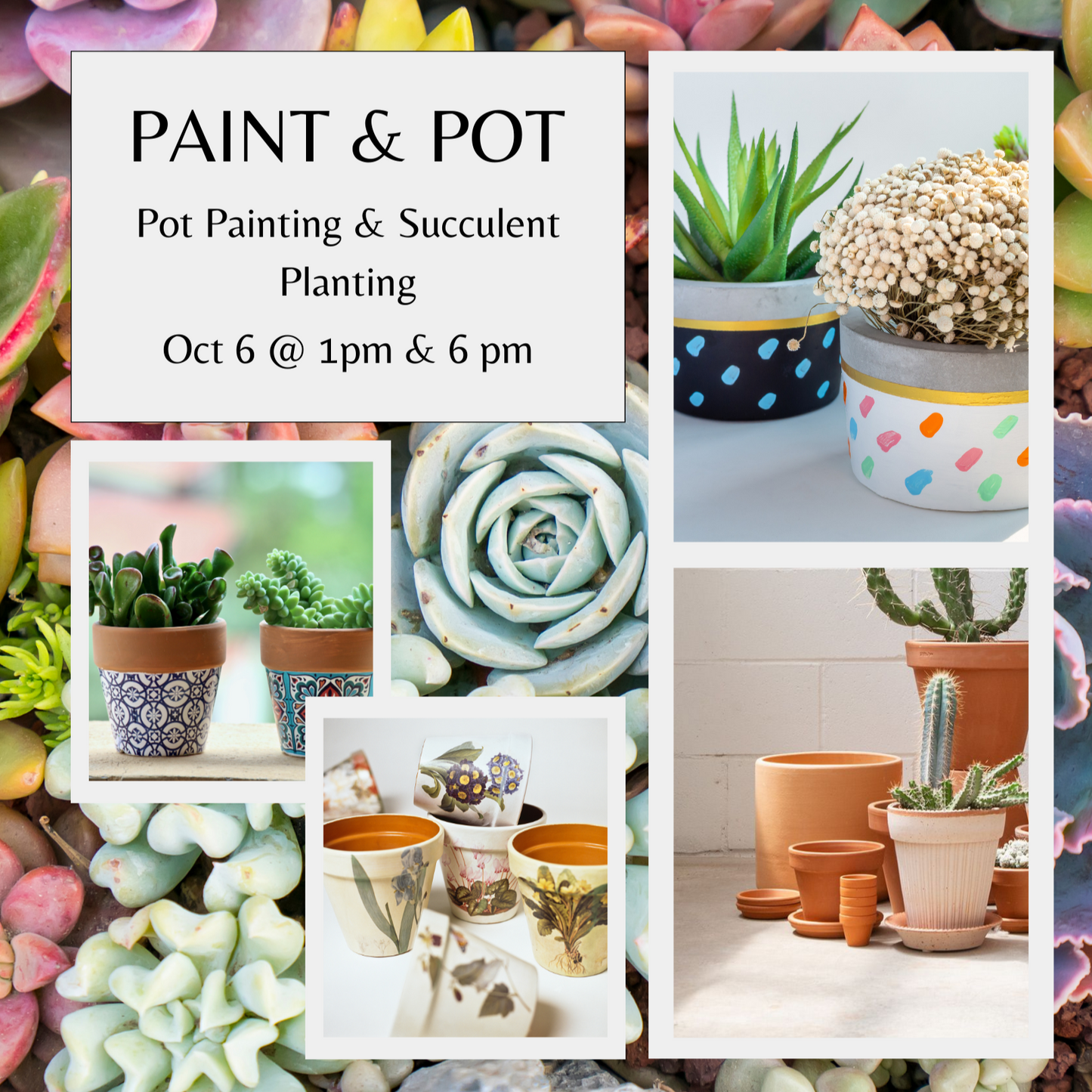 Paint & Pot : Pot Painting & Succulent Planting (Oct 6)