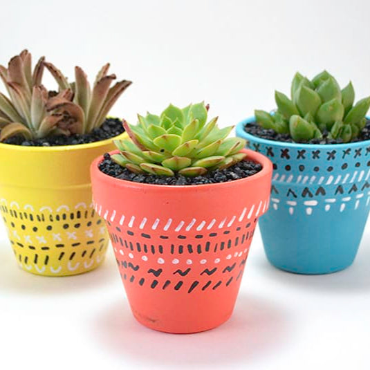 Pot It Like It's Hot! : Pot Painting & Succulent Planting Date TBD