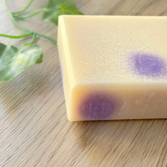 Black Raspberry Vanilla Bar Soap 4.5 oz - Desert Moon 25