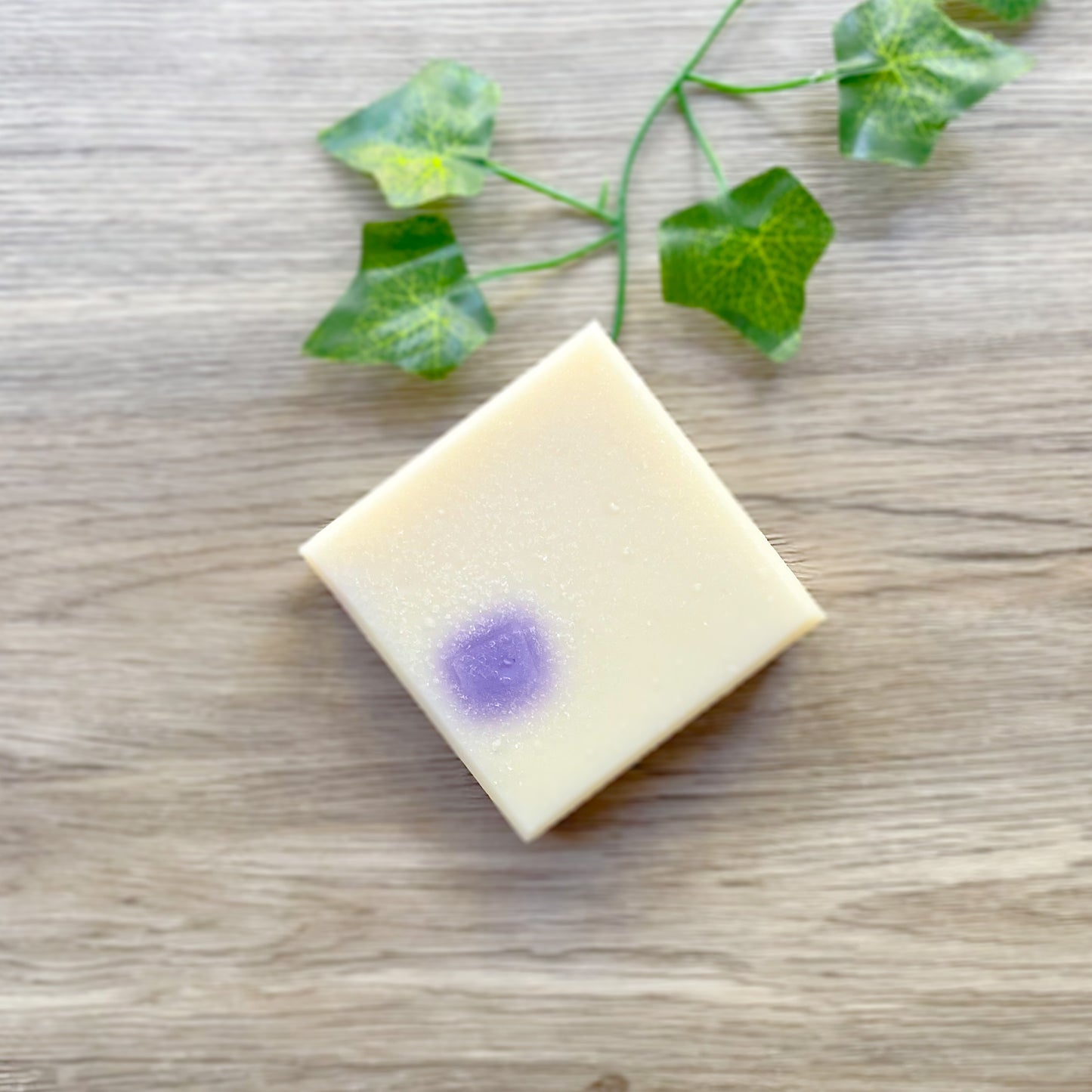 Black Raspberry Vanilla Bar Soap 4.5 oz - Desert Moon 25