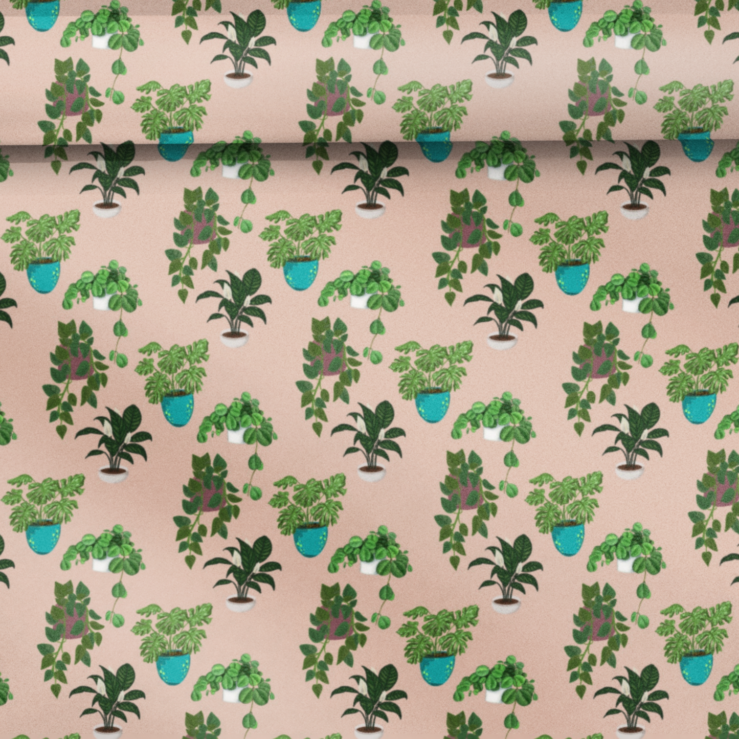 Botanical Potted Plants SVG