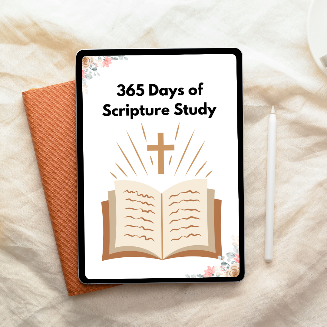 365 Days of Scripture Study
